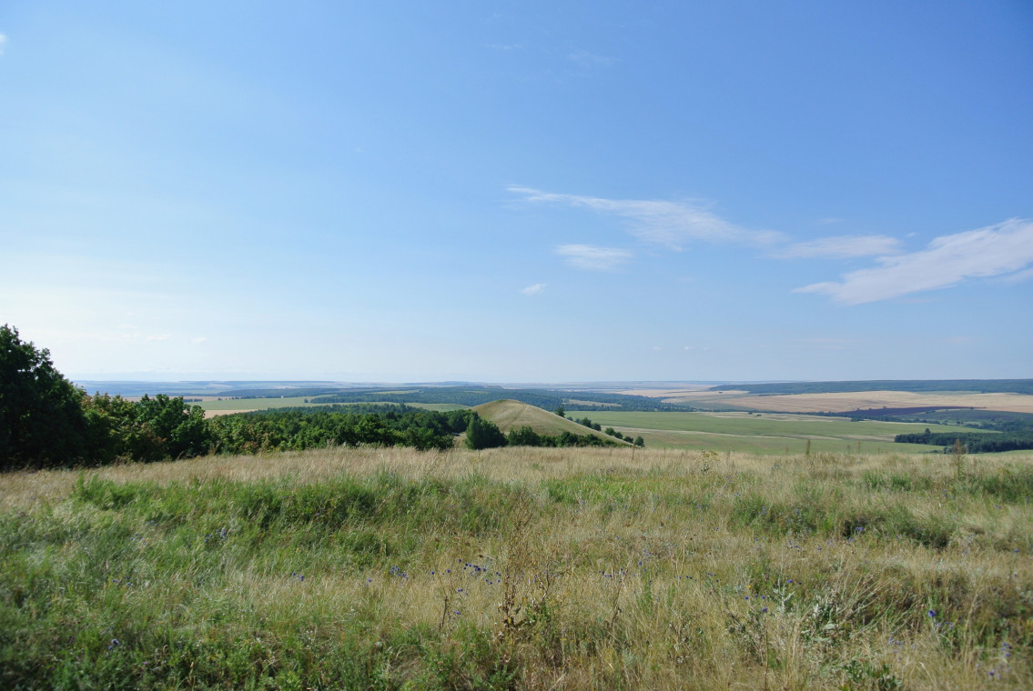 Гора &laquo;Картла-ту&raquo;,Исаклинский район: фотография № 3