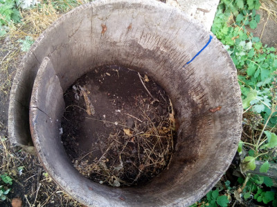 Деревья раньше были выше...,Исаклинский район: фотография № 1