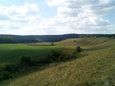 Родник "Чук" - часть экосистемы леса.,Исаклинский район: фотография № 1