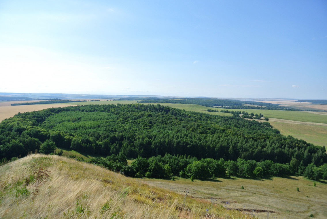 Гора &laquo;Картла-ту&raquo;,Исаклинский район: фотография № 2