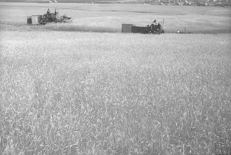 Колхоз &laquo;Красные ключи&raquo;, 1938 год