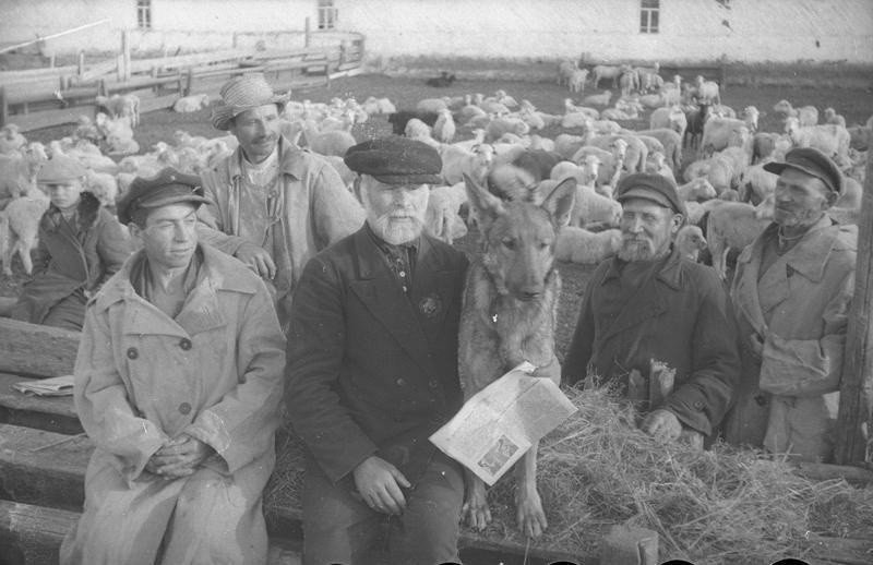 Куйбышевская обл., Б. Глушицкий р-н, колхоз &laquo;КИМ&raquo;