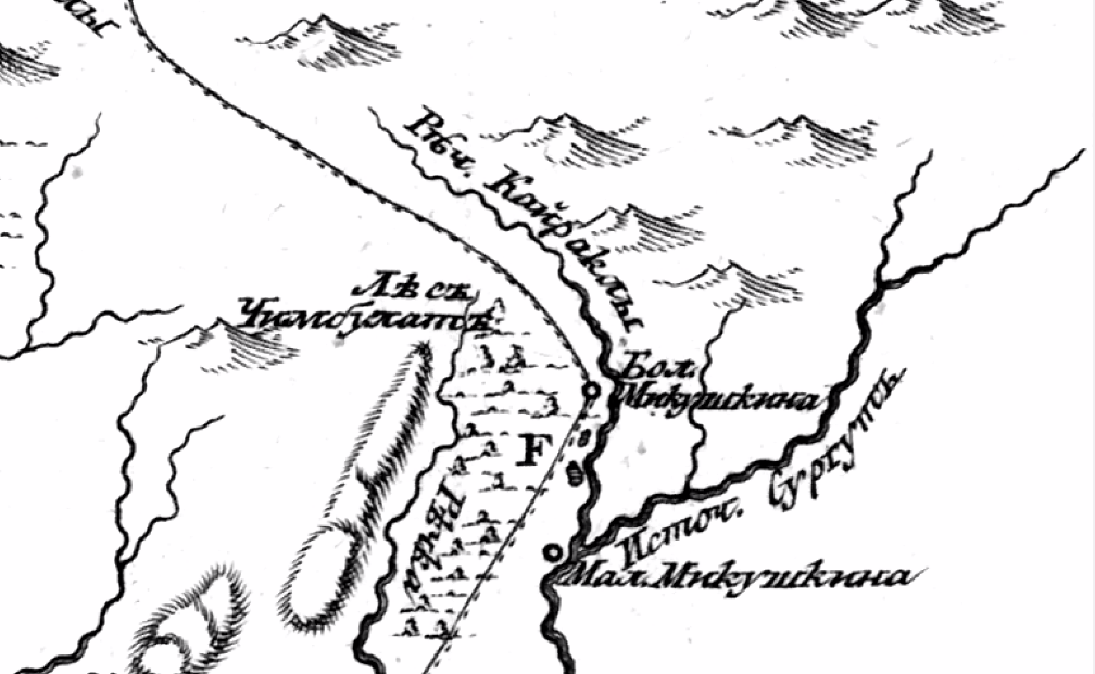 Лес Чембулат: вернем имя Большемикушкинской дубраве.