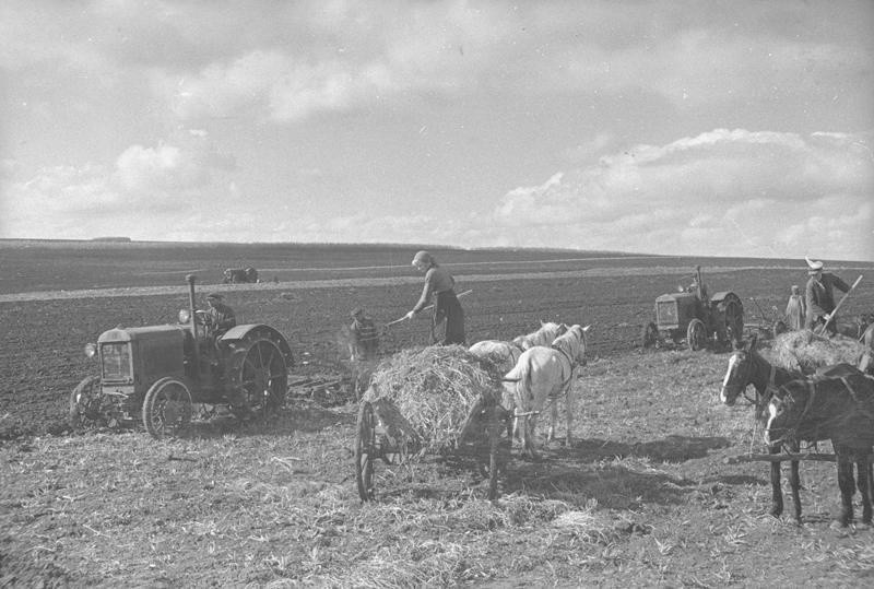 Куйбышевская обл., Кошкинский р-н, колхоз им. Энгельса