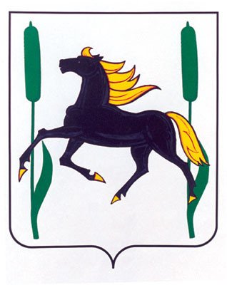 Камышлинский район