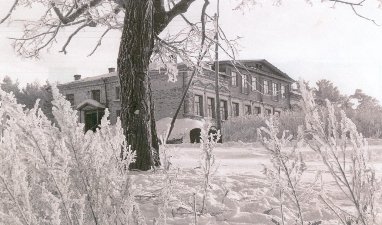 Дом Шелашниковых в селе Исаклы,Исаклинский район: фотография № 2