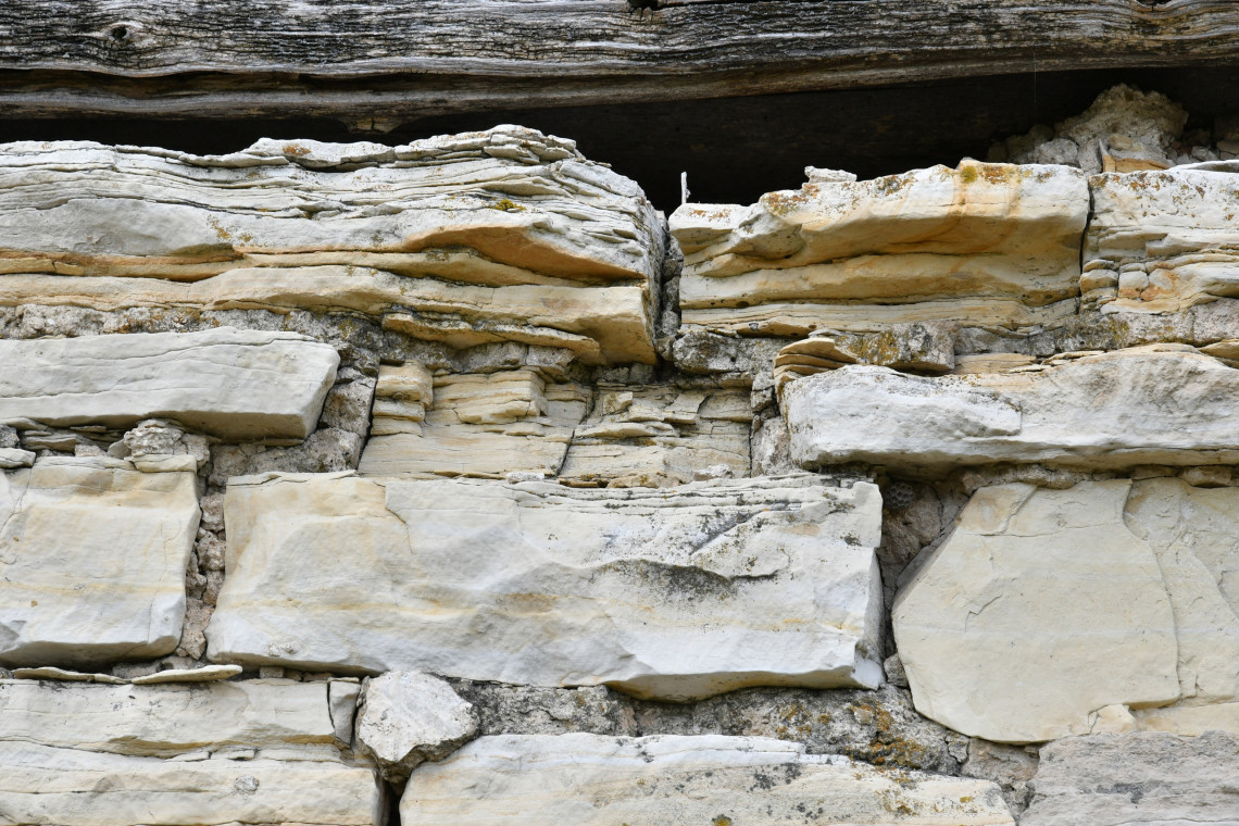 Конюшня в Смольково,: фотография № 2