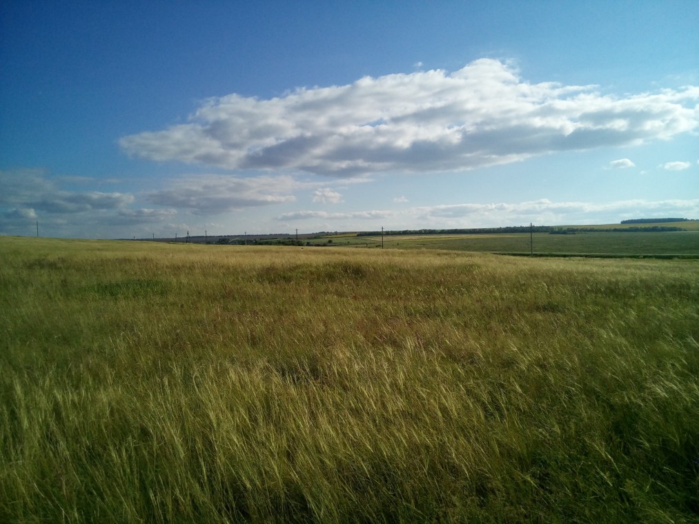 Башкирская стела,Исаклинский район: фотография № 3