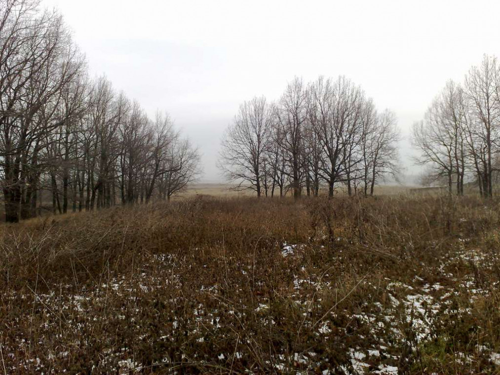 Не краеведы: совесть и деньги