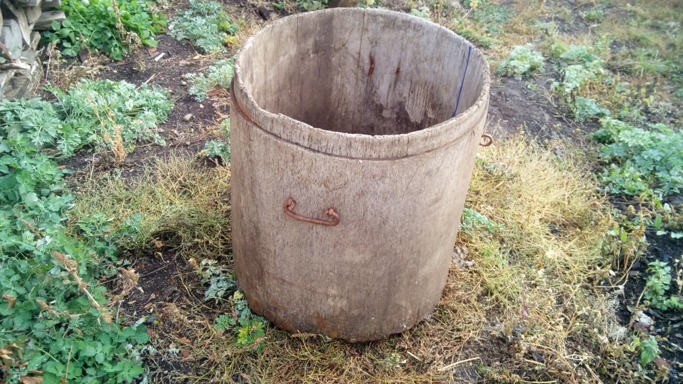 Деревья раньше были выше...