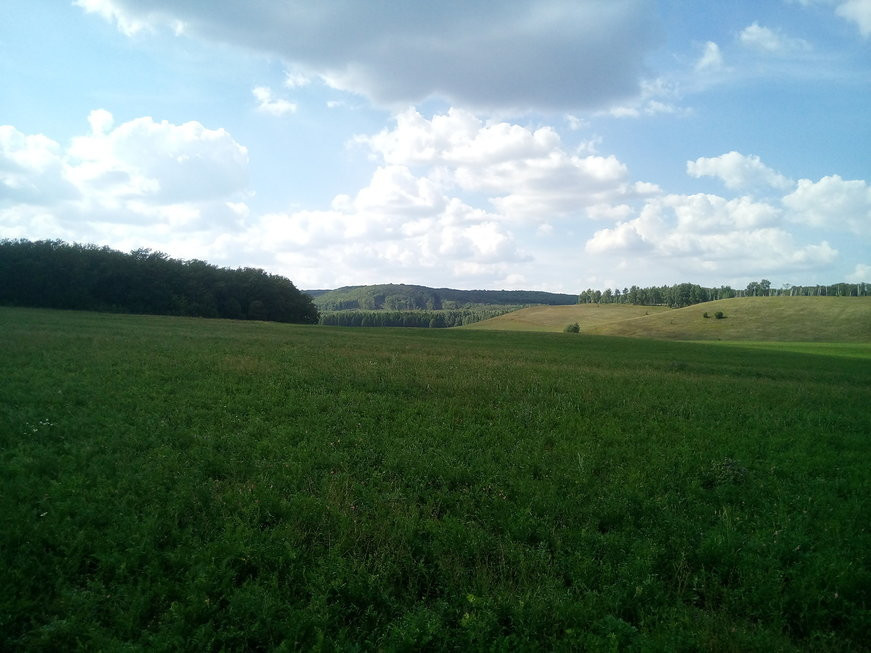 Родник "Чук" - часть экосистемы леса.