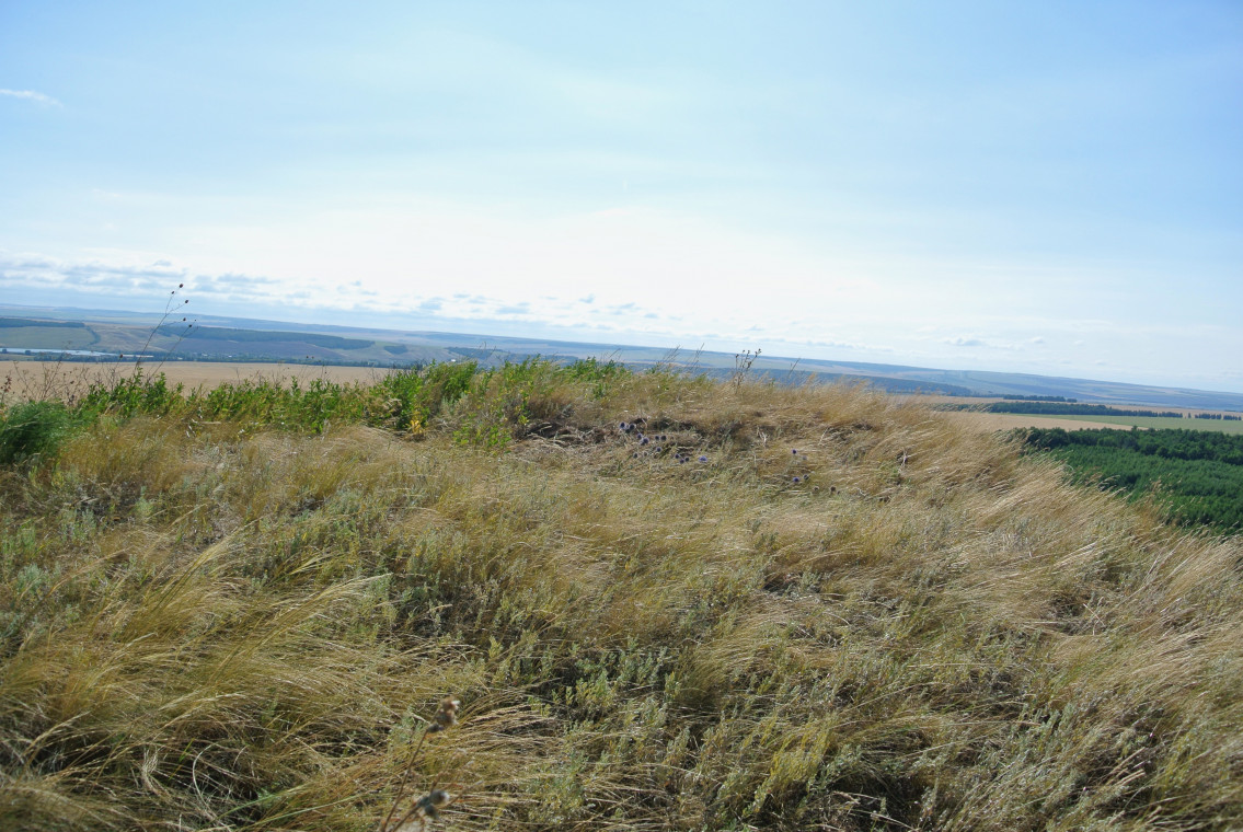 Гора &laquo;Картла-ту&raquo;,Исаклинский район: фотография № 1