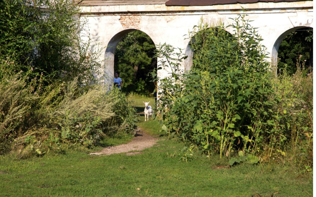Заброшенная усадьба графов Орловых в селе &laquo;Усолье&raquo;,Шигонский район: фотография № 4